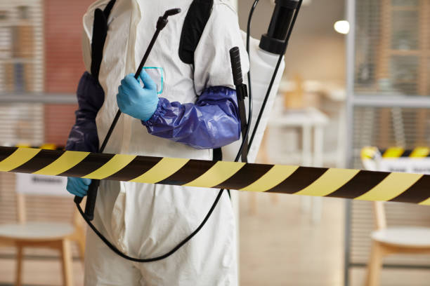 Professional Sewage Cleanup technician working in Palo, MI